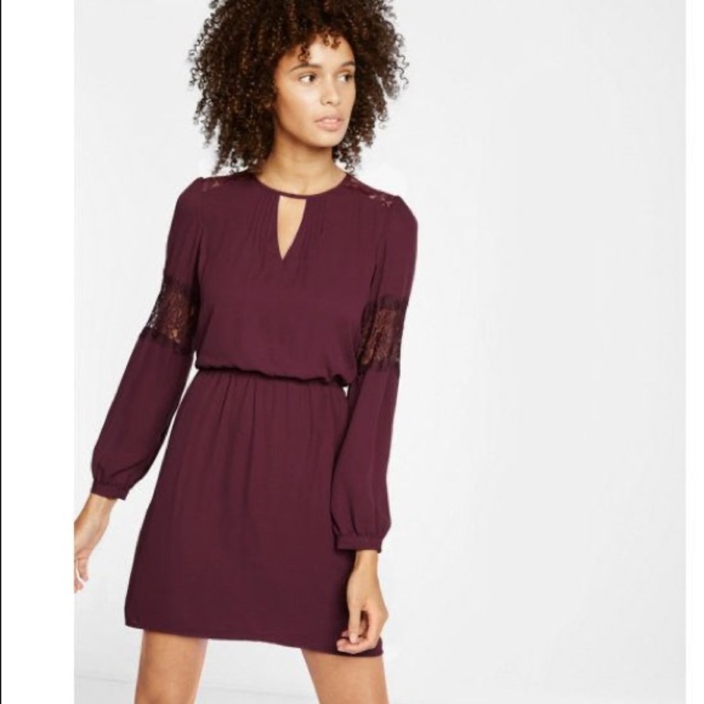 Express Lace Inset Dress